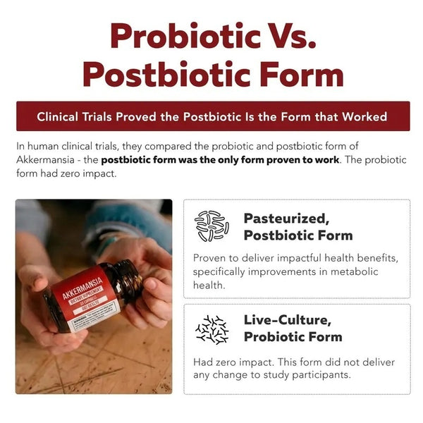 Akkermansia Probiotic – 30 Billion TFU – Max Strength, Clinically Validated Superior Pasteurized For