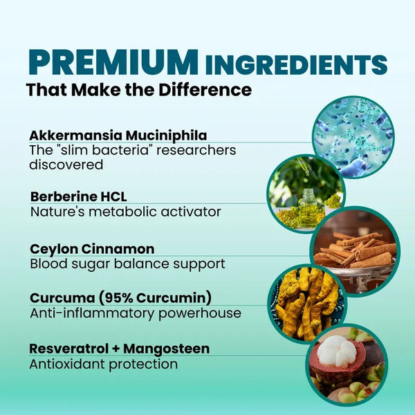 Gut & Metabolic Support | Probiotics Akkermansia & Bifidobacterium Breve | Riboflavin B2, Mangosteen