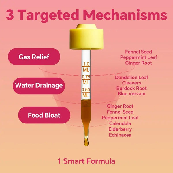 Cutting Drops – Lymphatic-Focused Debloat Formula with Dandelion, Cleavers, Burdock & Elderberry for Lymphatic Drainage, Bloat Relief, Digestive Comfort and Detox – Mango Dragonfruit Flavor, 30 Servings