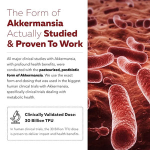 Akkermansia Probiotic – 30 Billion TFU – Max Strength, Clinically Validated Superior Pasteurized For