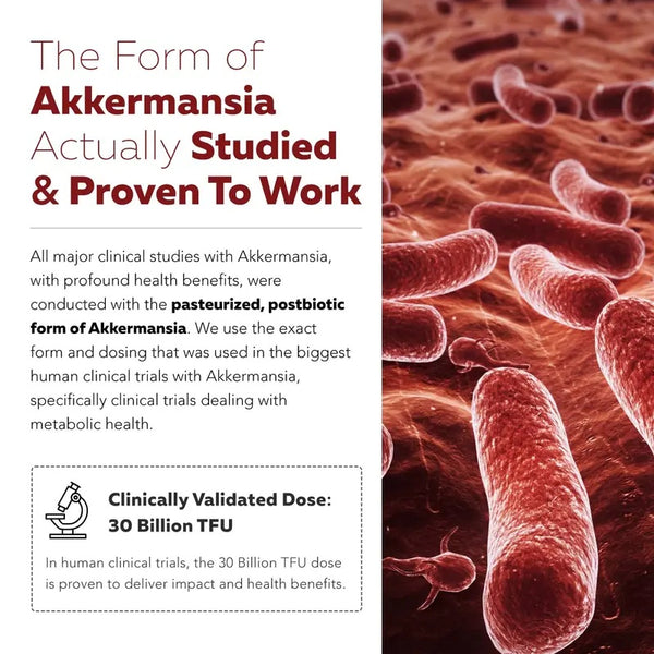 Akkermansia Probiotic – 30 Billion TFU – Max Strength, Clinically Validated Superior Pasteurized For