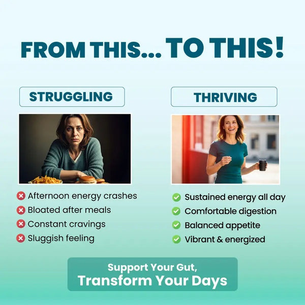 Gut & Metabolic Support | Probiotics Akkermansia & Bifidobacterium Breve | Riboflavin B2, Mangosteen
