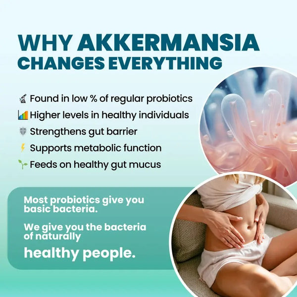 Gut & Metabolic Support | Probiotics Akkermansia & Bifidobacterium Breve | Riboflavin B2, Mangosteen