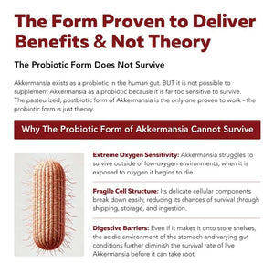 Akkermansia Probiotic – 30 Billion TFU – Max Strength, Clinically Validated Superior Pasteurized For