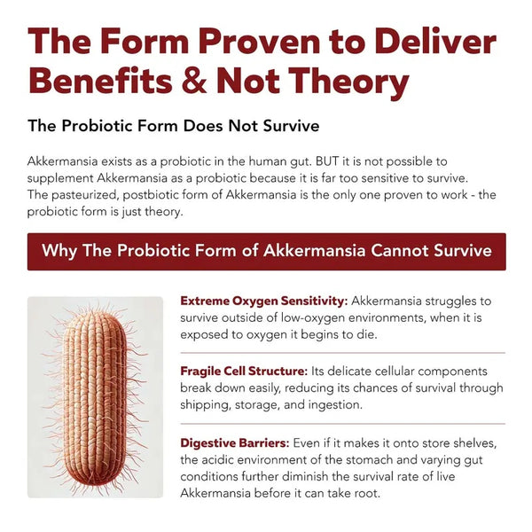 Akkermansia Probiotic – 30 Billion TFU – Max Strength, Clinically Validated Superior Pasteurized For