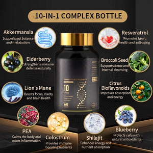Daily Gut Balance Probiotic Capsules with Akkermansia – Digestive & Immune Support for Everyday Well