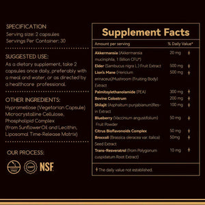 Daily Gut Balance Probiotic Capsules with Akkermansia – Digestive & Immune Support for Everyday Well