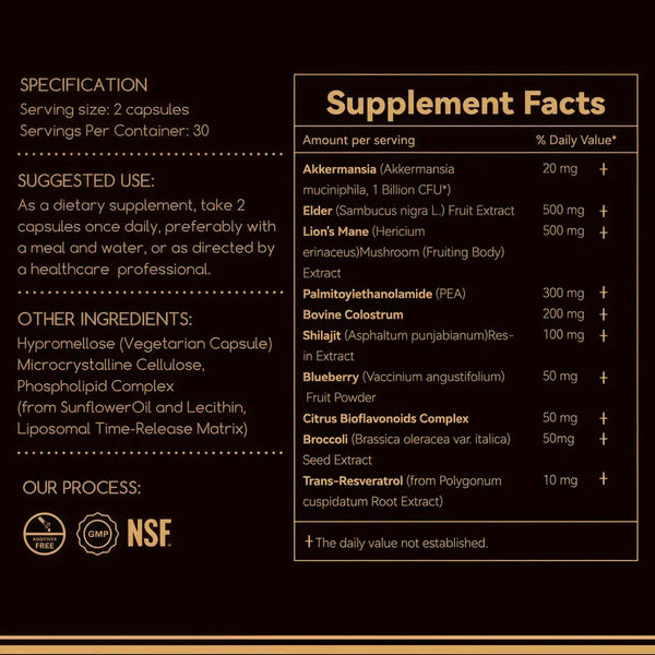 Daily Gut Balance Probiotic Capsules with Akkermansia – Digestive & Immune Support for Everyday Well