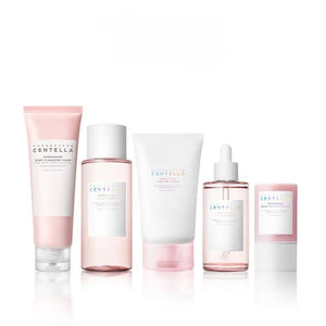 Perfect Pore Set with Cleansing Foam, Clay Mask, Toner, Ampoule and Gel Cream