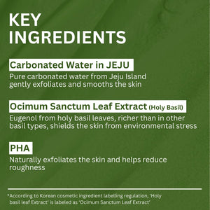 Holy Basil Bubble Deep Mask with Korean Clay and PHA for Pore Cleansing 90g