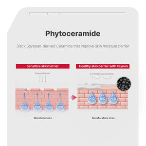 Ceramide Ato Concentrate Cream — 100-Hour Lasting Hydration for Dry and Sensitive Skin
