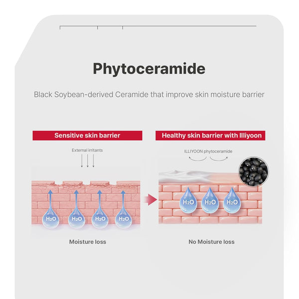 Ceramide Ato Concentrate Cream — 100-Hour Lasting Hydration for Dry and Sensitive Skin