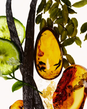 Vanilla Verve Illuminating Body Oil for Glow, Nourishing & Body Care