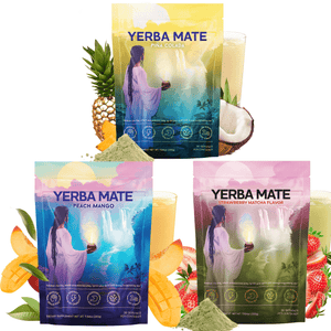 Yerba Mate Instant Tea Powder Lion's Mane, L-Theanine & Probiotics