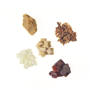 Underbrush Remineralizing Chewing Gum featuring Nano-Hydroxyapatite