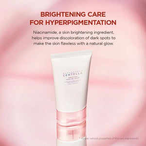 Perfect Pore Set with Cleansing Foam, Clay Mask, Toner, Ampoule and Gel Cream